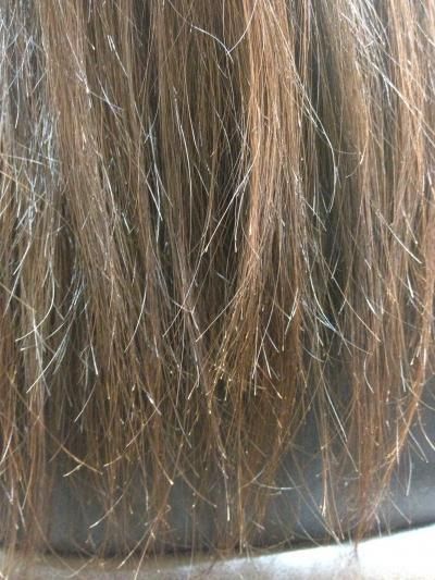 Cheveux secs et ternes